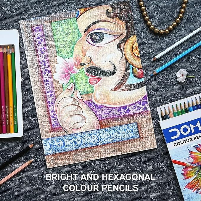 dom's colour pencil 12 shades 3